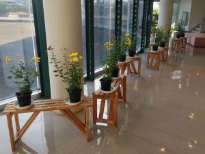 2025年10月30日　植物園7